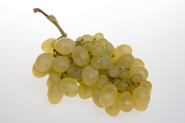 Świeży zielony winogron izolowany na białe Sauvignon - Zdjęcie, obraz
