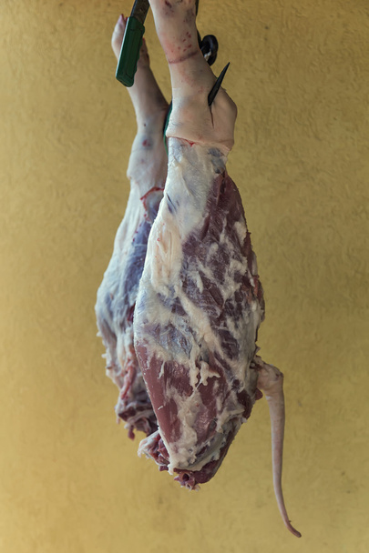 Raw pork legs hanging  - Photo, Image
