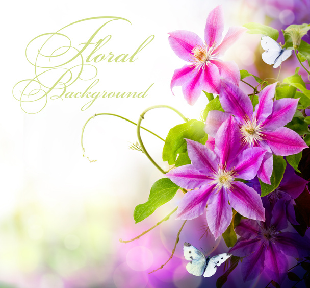 abstraktní jarní květinové pozadí - Fotografie, Obrázek
