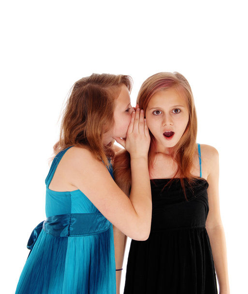 Two girls sharing secrets. - Photo, Image