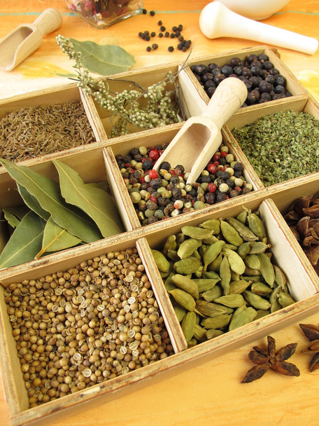 Spice doos met peper, Marjolein, koriander en andere specerijen - Foto, afbeelding