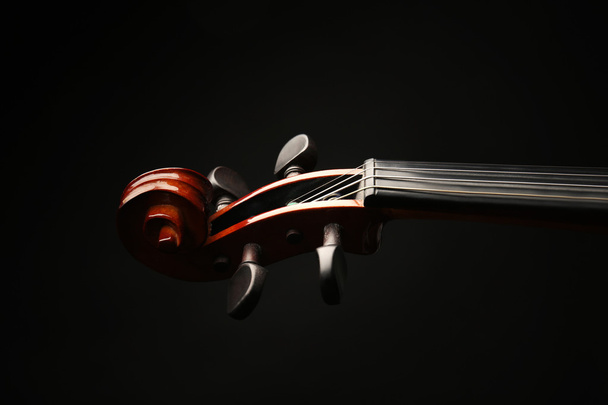 Violin neck on dark - Foto, immagini