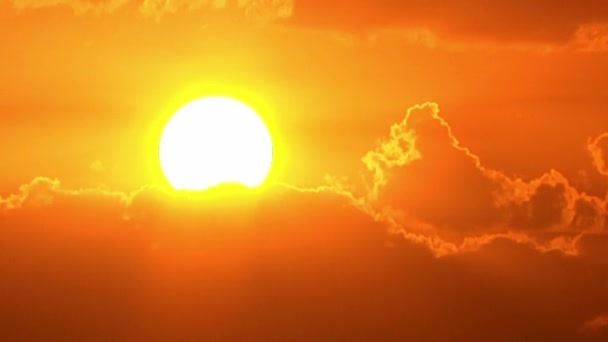 Promienie słońca, zbliżenie - Materiał filmowy, wideo