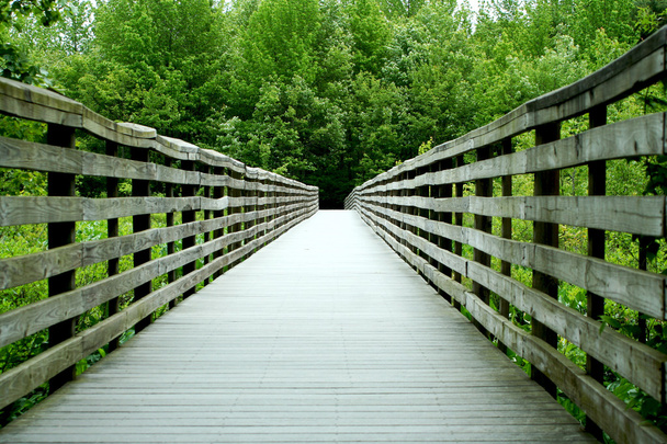 dřevěný most přes Les - Fotografie, Obrázek