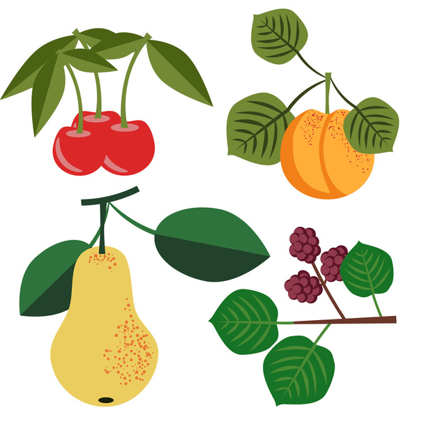 Set di frutta vettoriale
 - Vettoriali, immagini