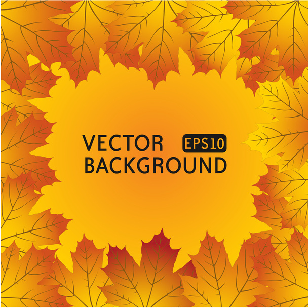 fondo de otoño con hojas de arce - Vector, Imagen