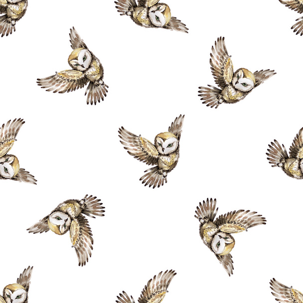 Seamless pattern with watercolor owls - 写真・画像