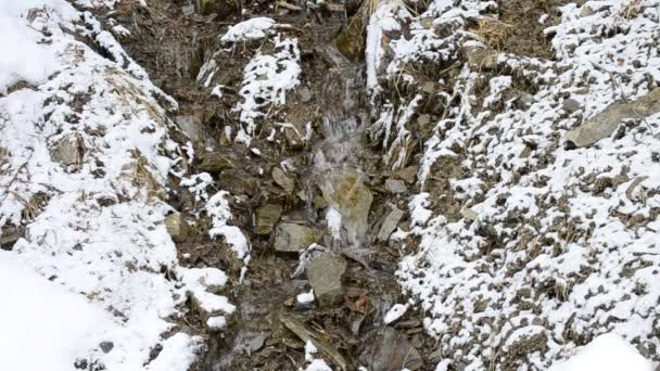 kleiner Gebirgsbach, der im Winter auf steinigem, schneebedecktem Boden fließt - Filmmaterial, Video