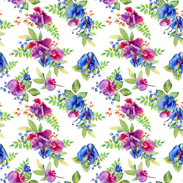 Seamless pattern with pink, blue Sweet pea, Lathyrus odoratus, l - Photo, Image
