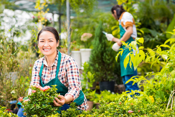 Mujer cuidando flores en invernadero
 - Foto, imagen