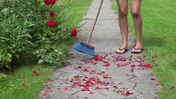 女性の庭師の足は、ほうきで石畳の道に落ちたバラの花びらを掃引。4k - 映像、動画