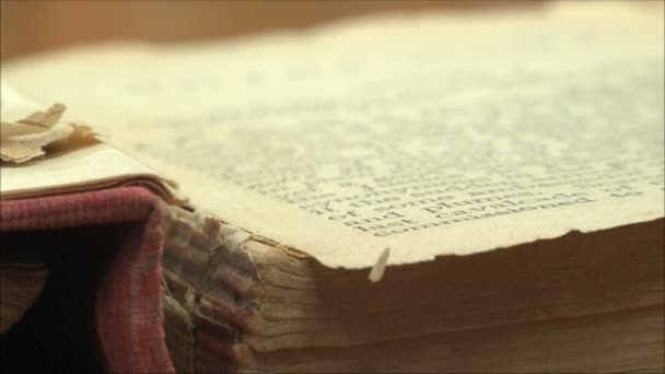 nejstarší kniha v knihovně - Záběry, video