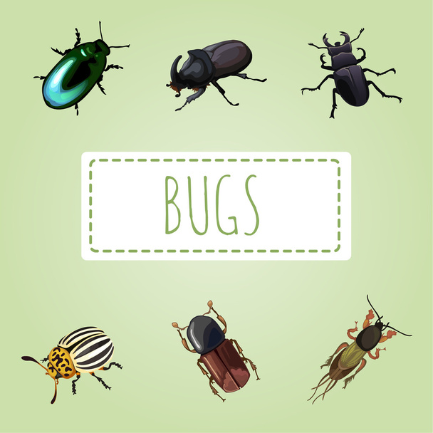 Набір різних жуків, шість зображень
 - Вектор, зображення