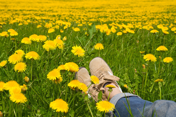 Person relaxing in a spring meadow - Photo, Image