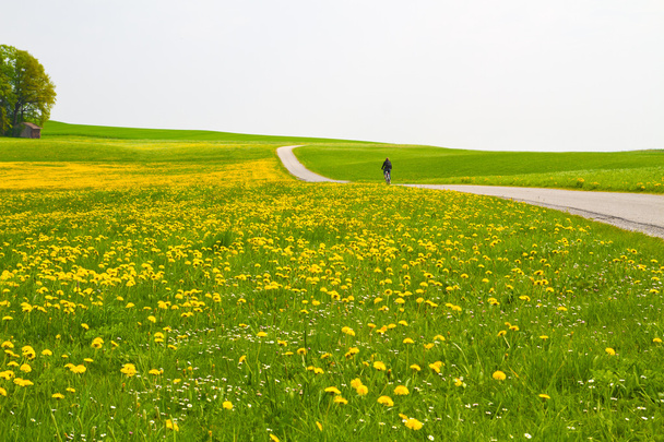 Kevät niitty pyöräilijä ja maaseudun tie
 - Valokuva, kuva