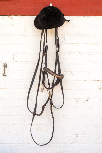Horse reins and riders helmet - Photo, Image