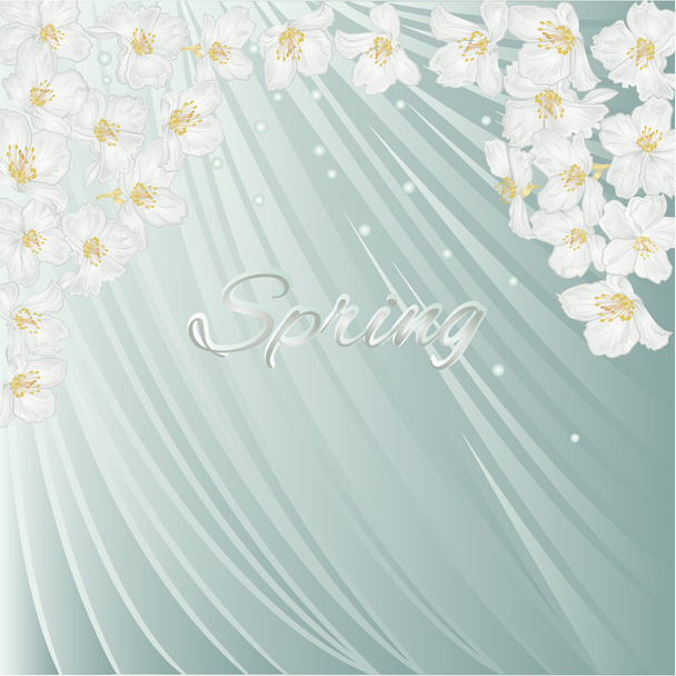 Spring blue background with blossoms jasmine vector - Vector, Image