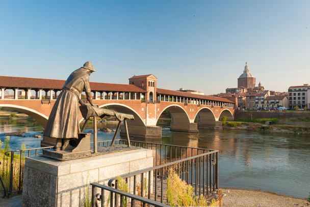Manzarası Pavia, Nehri Ticino "Ponte Coperto" ile - Fotoğraf, Görsel