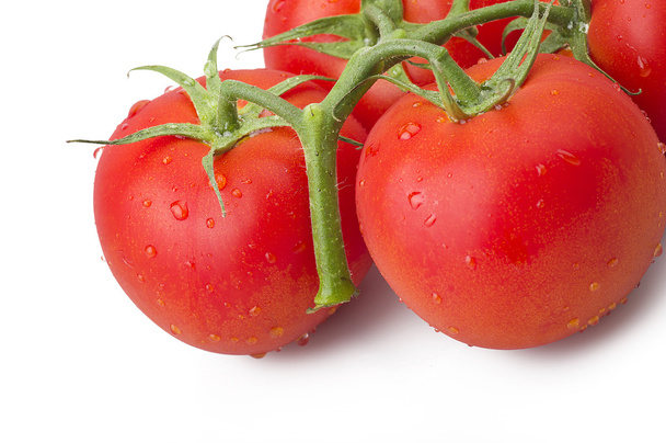 Fresh tomatoes close up - Foto, afbeelding