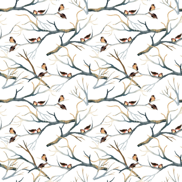 Oiseaux aquarelles sur les branches des arbres
 - Photo, image