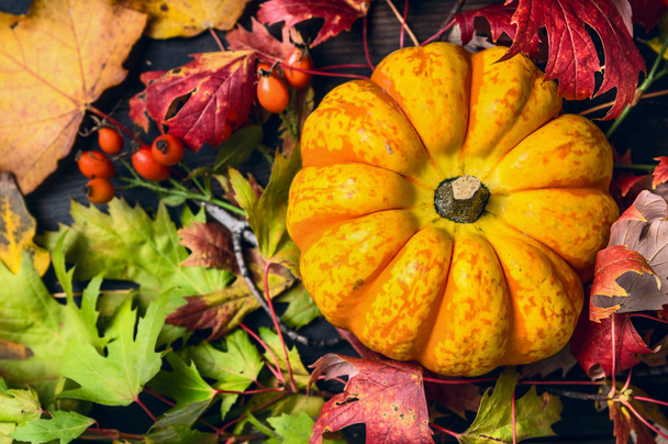 Calabaza sobre hojas coloridas de otoño
 - Foto, imagen