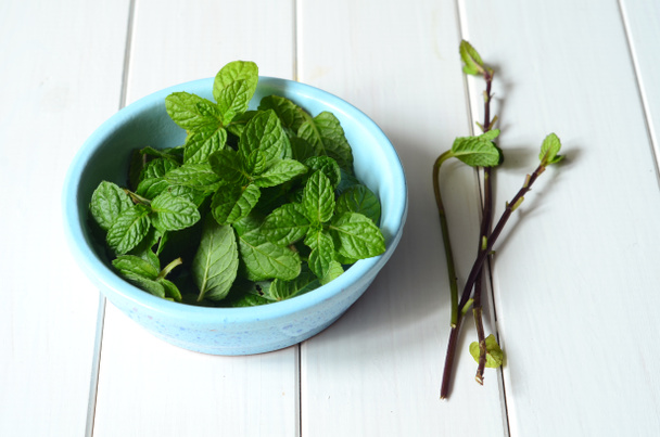 Fresh peppermint leaves - Photo, Image