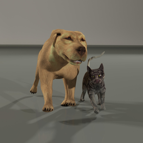 pes a kočka přátelé - Fotografie, Obrázek