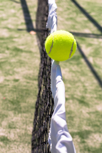 Tenisák, balancující na čistá v slunečný den - Fotografie, Obrázek