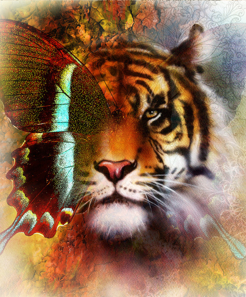 Porträt Tiger und Schmetterlingsflügel Farbe abstrakten Hintergrund und Ornament, Vintage-und Papierstruktur. Tierkonzept, Blickkontakt. blau, orange, grün, rot, schwarz. - Foto, Bild