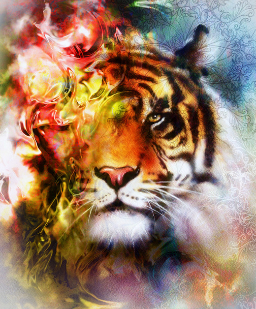 Tygrys kolaż kolor streszczenie tło i mandali z ornamet, dziko żyjących zwierząt. - Zdjęcie, obraz