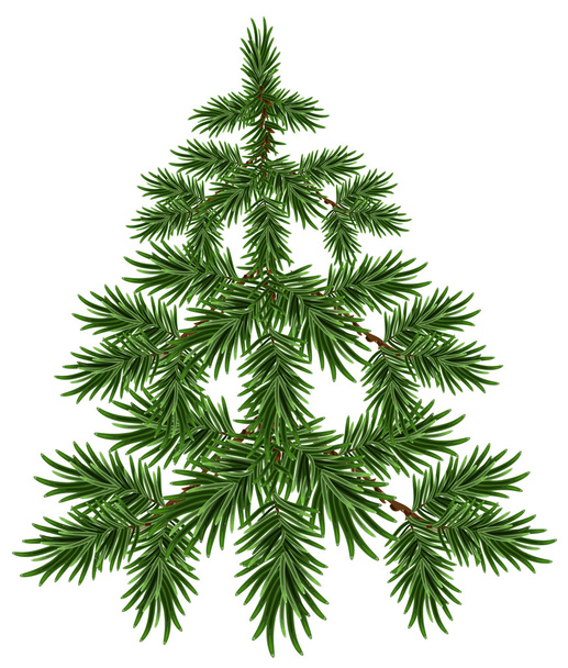 Green Christmas Tree. Fluffy fir. Green pine tree - Vector, Image