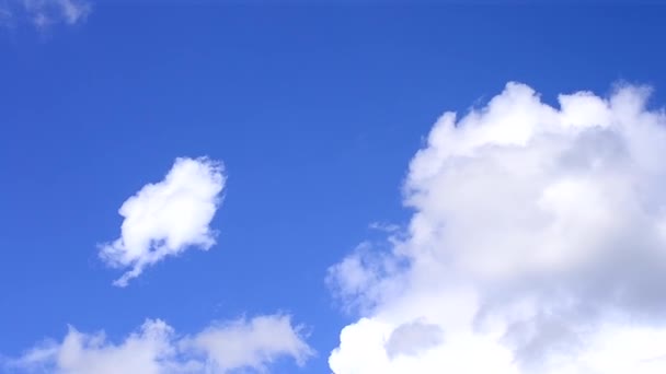 White clouds on background of vibrant blue sky - Video