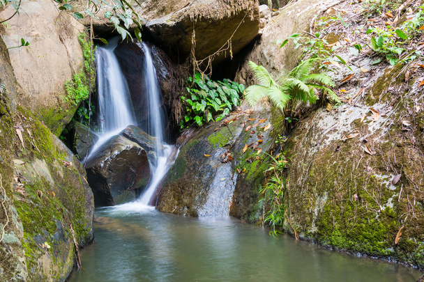 vodopád v deštném pralese - Fotografie, Obrázek