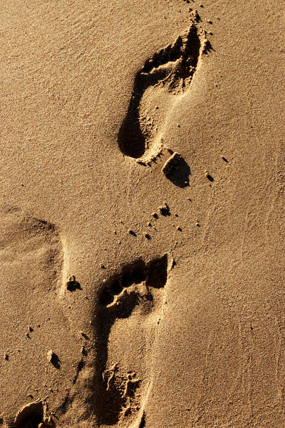 Pegadas na praia de areia. - Foto, Imagem