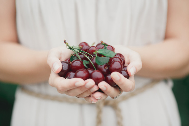 Cherry in hands - Foto, Imagen