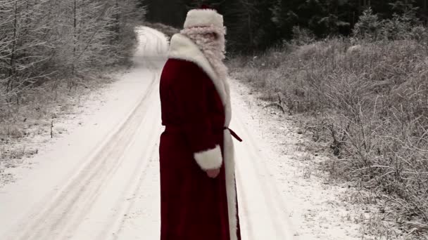 Santa Claus odcházet v lese na zasněžené silnici - Záběry, video