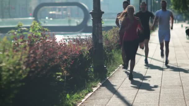 people group jogging - Footage, Video