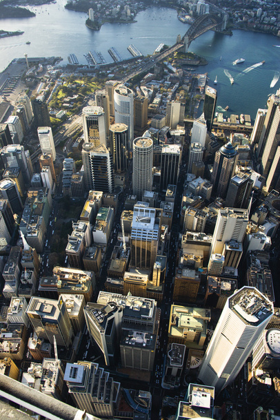 Sydney Australia downtown. - Фото, изображение