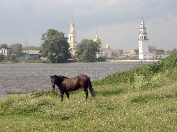 Caballo en la orilla del estanque, y Demidov torre inclinada de la Catedral de la Transfiguración. Nevyansk. Rusia
. - Foto, Imagen