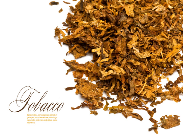Tabaco - Foto, Imagen