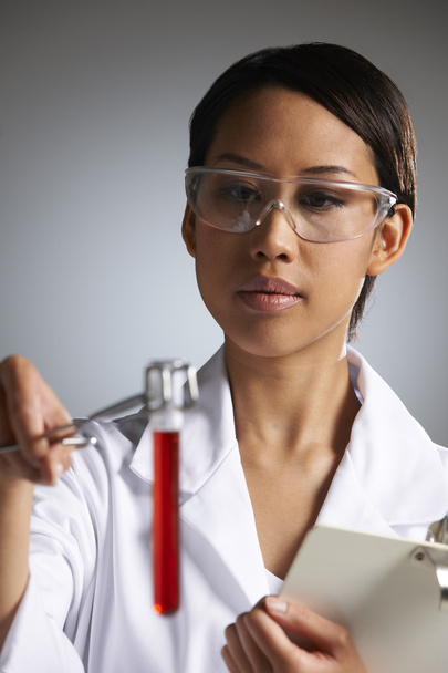 Female Scientist Examining Test Tube - Foto, afbeelding