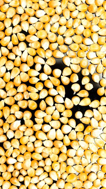 Bulk of corn grains - Foto, imagen