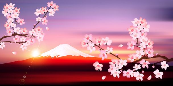 Fuji tavaszi cseresznye fa háttér - Vektor, kép