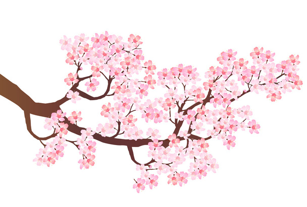 Voorjaar kersenbloesem pictogram - Vector, afbeelding