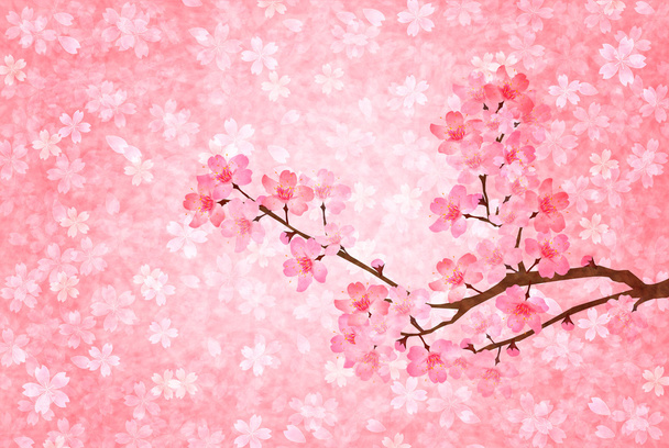 Spring cherry blossom background - Vector, imagen