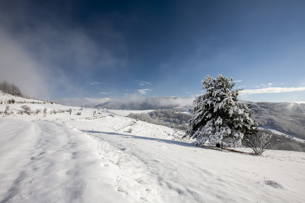Téli időszakban a hegyekben - Fotó, kép