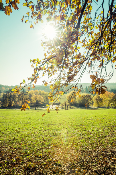 sunny autumn landscape - Valokuva, kuva