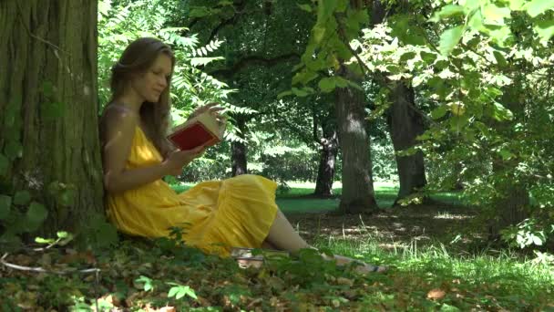 Κορίτσι πέρασε τις διακοπές της διαβάζοντας μυθιστόρημα κωμικό βιβλίο κάτω από το παλιό δέντρο στο πάρκο. 4K - Πλάνα, βίντεο