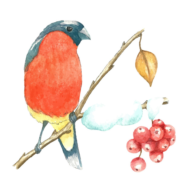 The bullfinch sits on the tree branch - Vecteur, image
