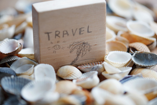 Background of seashells with signboard - Fotografie, Obrázek